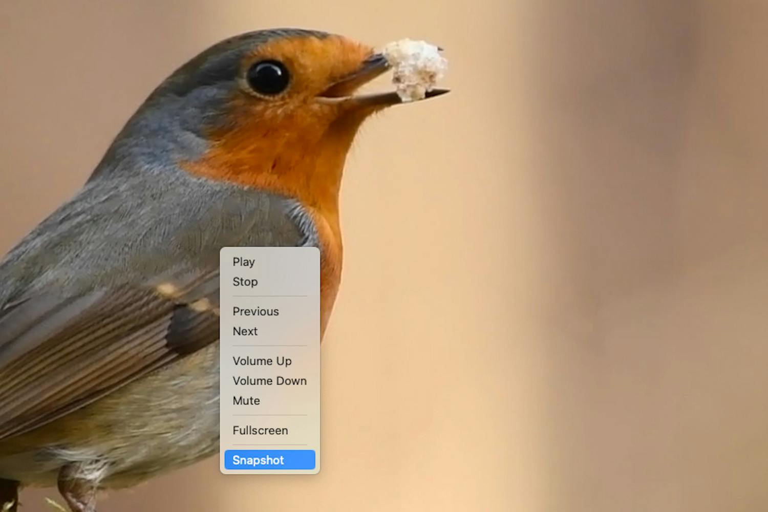 VLC-ohjelmalla voit tallentaa valokuvia videosta. VLC-ohjelmalla voit tallentaa valokuvia videosta.
